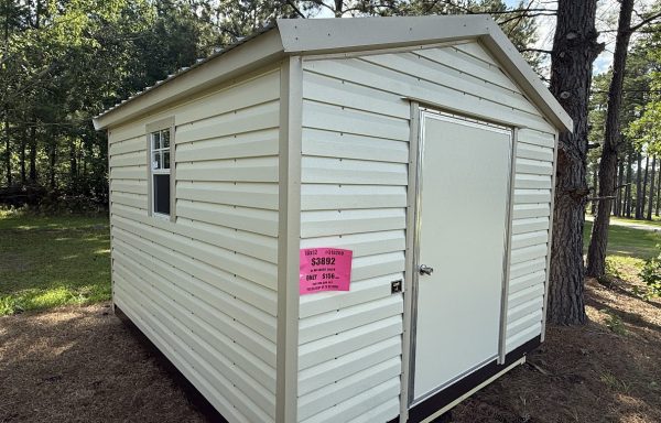 10ft x 12ft Metal Shed