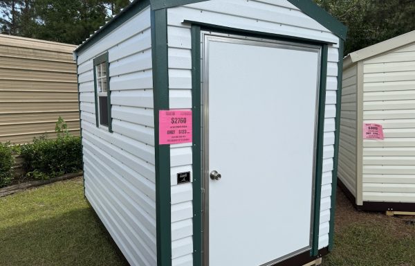 10ft x 16ft Metal Shed
